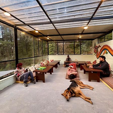 Eevolve Dharamkot - An Eco Hostel McLeod Ganj Zewnętrze zdjęcie