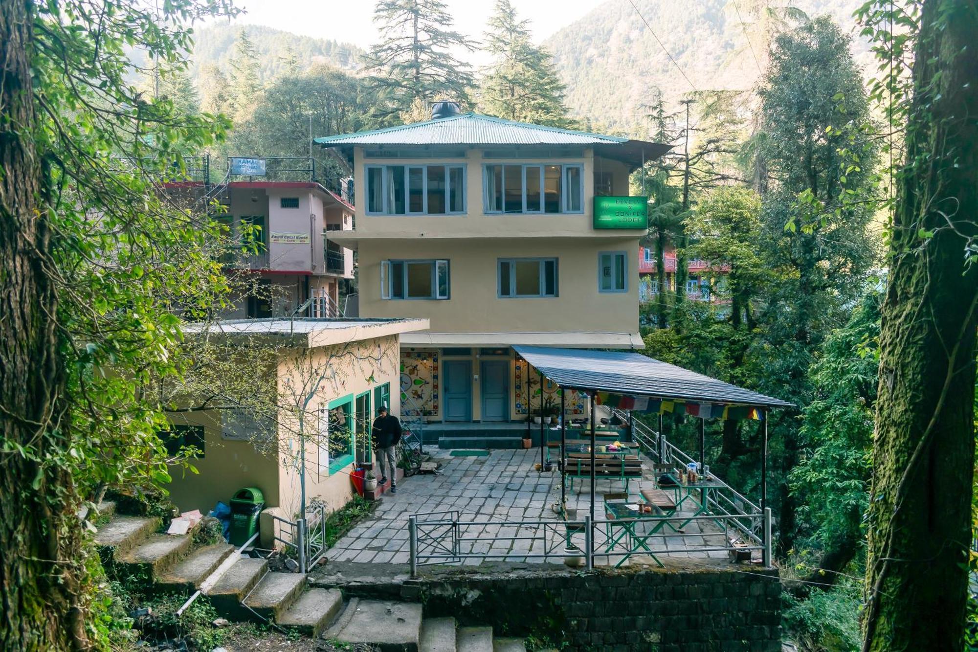 Eevolve Dharamkot - An Eco Hostel McLeod Ganj Zewnętrze zdjęcie