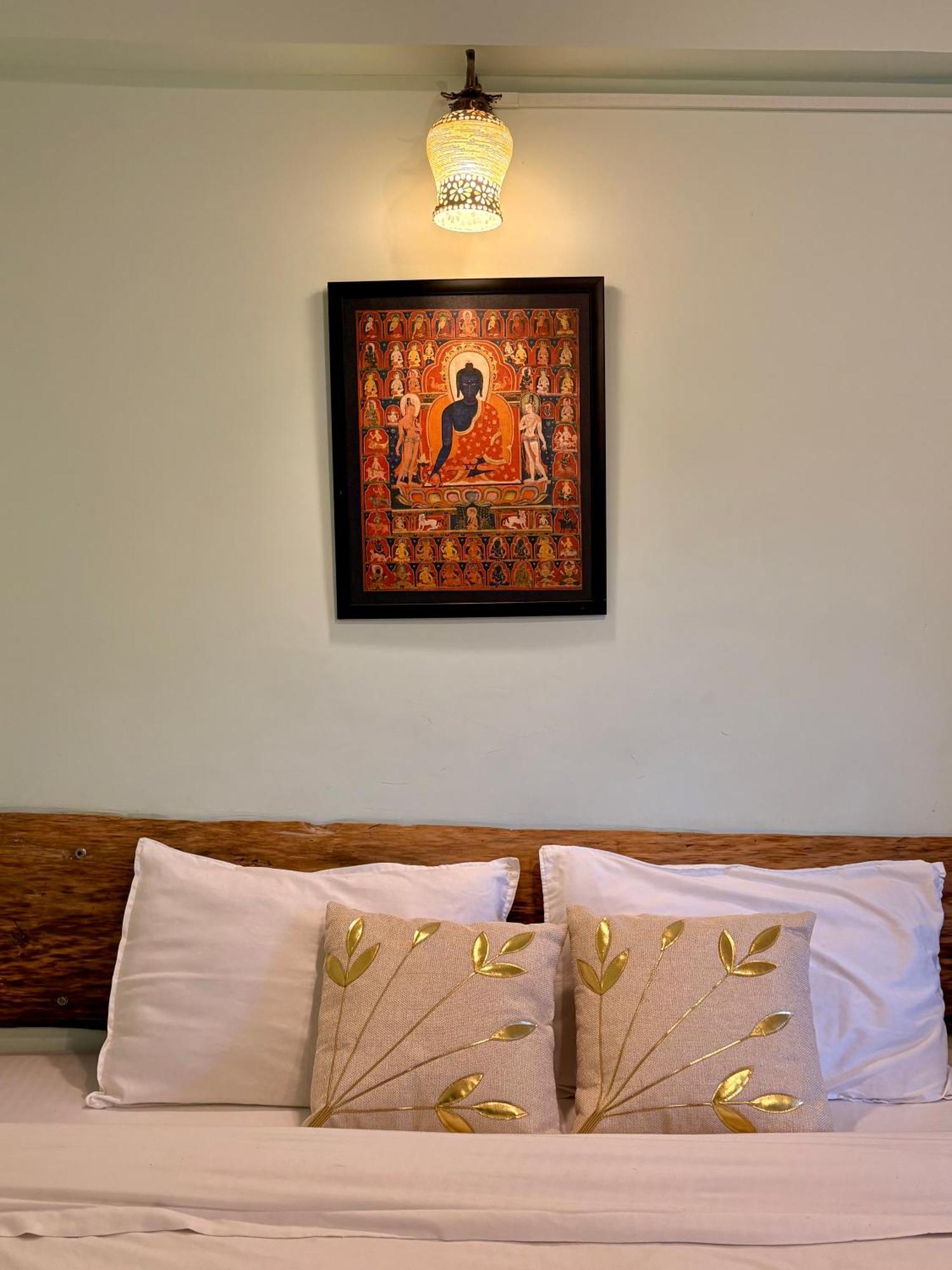 Eevolve Dharamkot - An Eco Hostel McLeod Ganj Zewnętrze zdjęcie