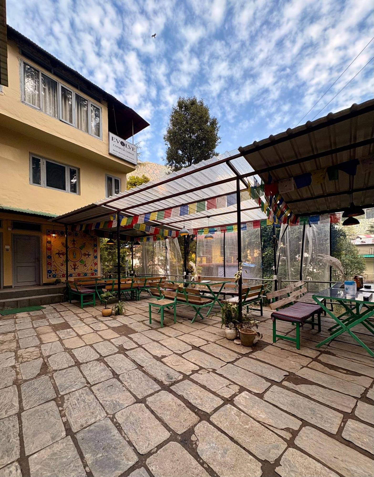 Eevolve Dharamkot - An Eco Hostel McLeod Ganj Zewnętrze zdjęcie