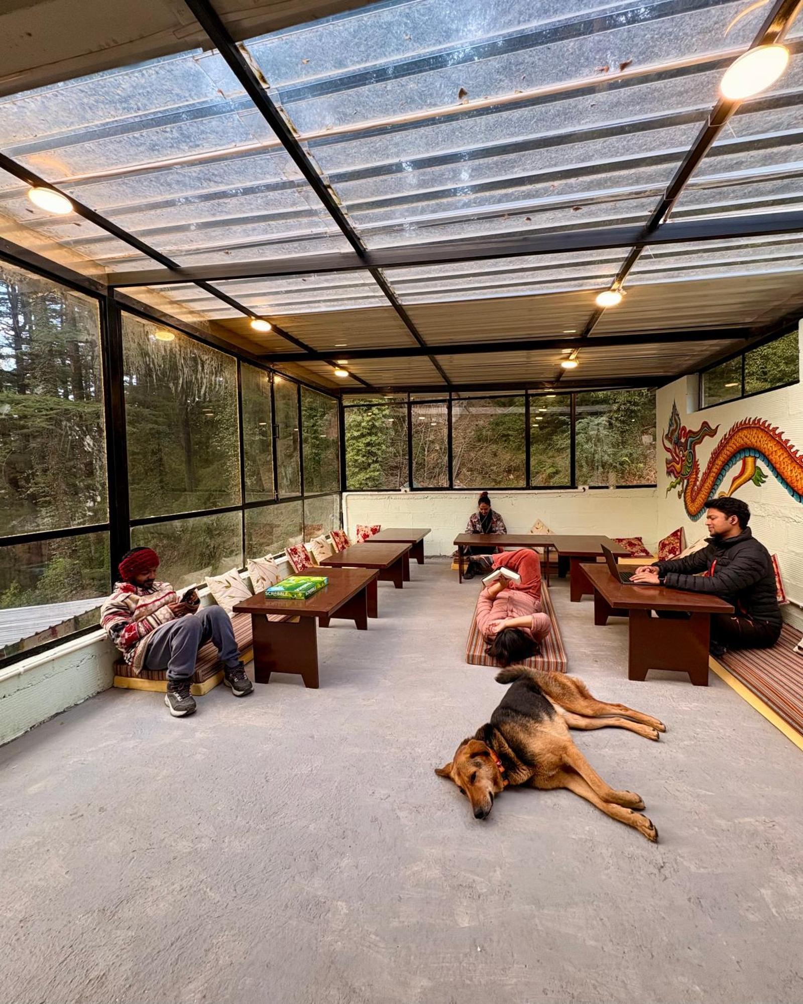 Eevolve Dharamkot - An Eco Hostel McLeod Ganj Zewnętrze zdjęcie